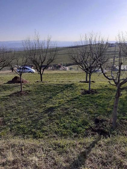 Teren de 550 mp, în Șura Mare