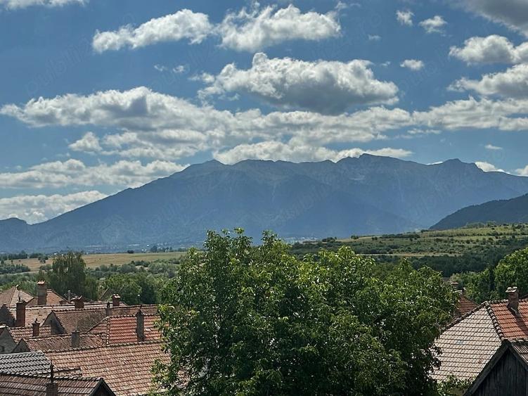 De vanzare proprietate deosebita in Zarnesti, 600 mp utili zona centrala - 6