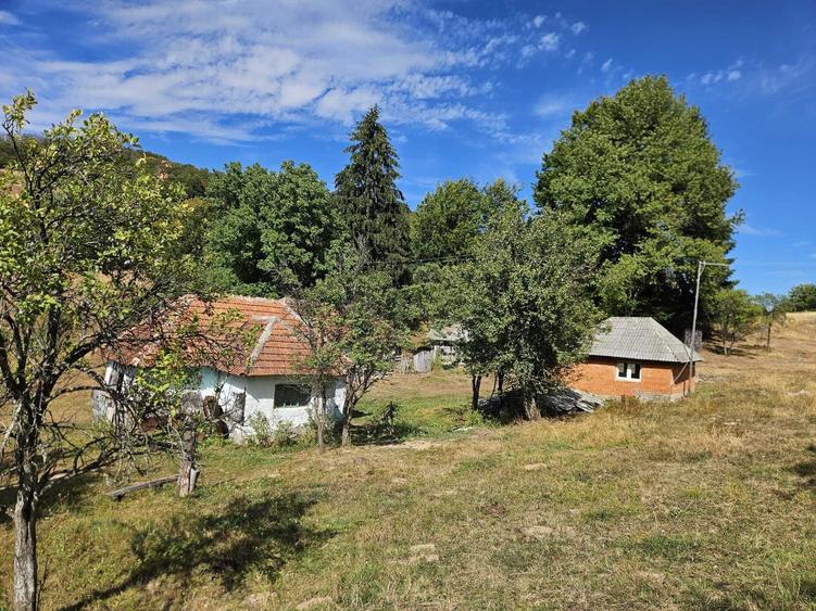 Casă cu 2 camere în Damiș