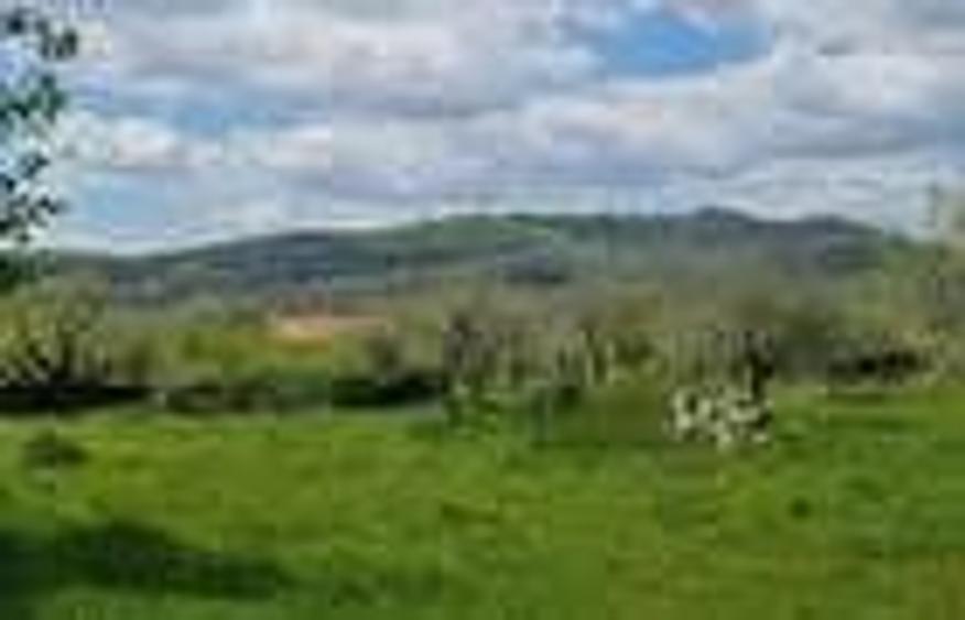 Casă cu Teren 20855 Mp în Albești