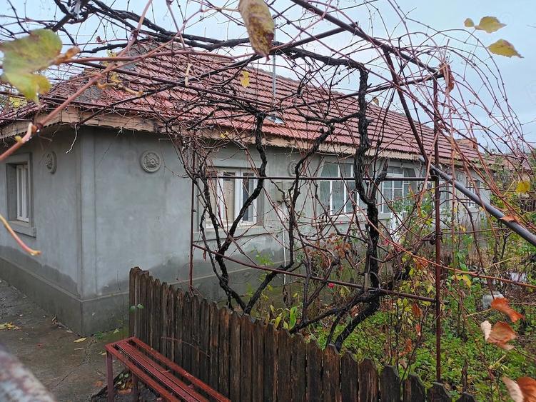 Casă cu Teren 2500 Mp în Vadu Pașii