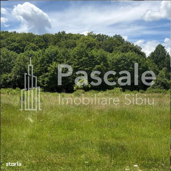 Spațiu comercial, în Central