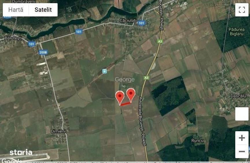 Teren 12.100mp extravilan Caciulati, Localitatea Moara Vlasiei A3
