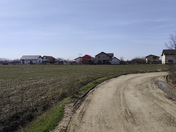 Teren Construcții extravilan de 23200 mp, în Săbăreni