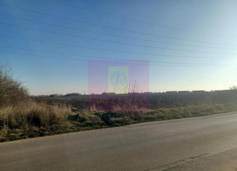 Teren de 8800 mp, în Săbăreni