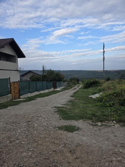 Spațiu comercial, în Valea Lupului