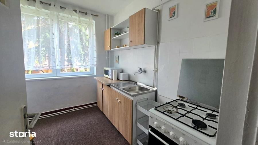Chirie 2 Camere Satu Mare Central - 1