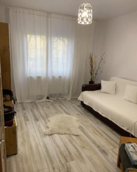 Inchiriere apartament cu o camera Take Ionescu - 4