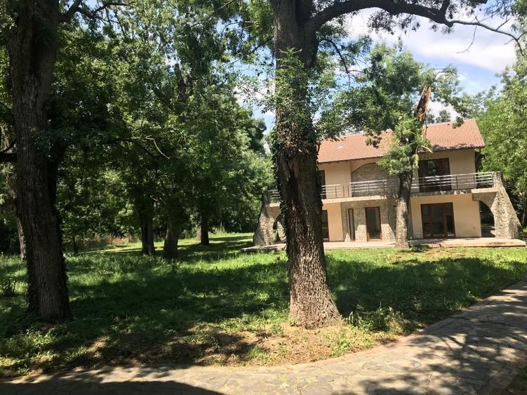 Casă individuală cu 5 camere cu Teren 4000 Mp în Remetea Mare