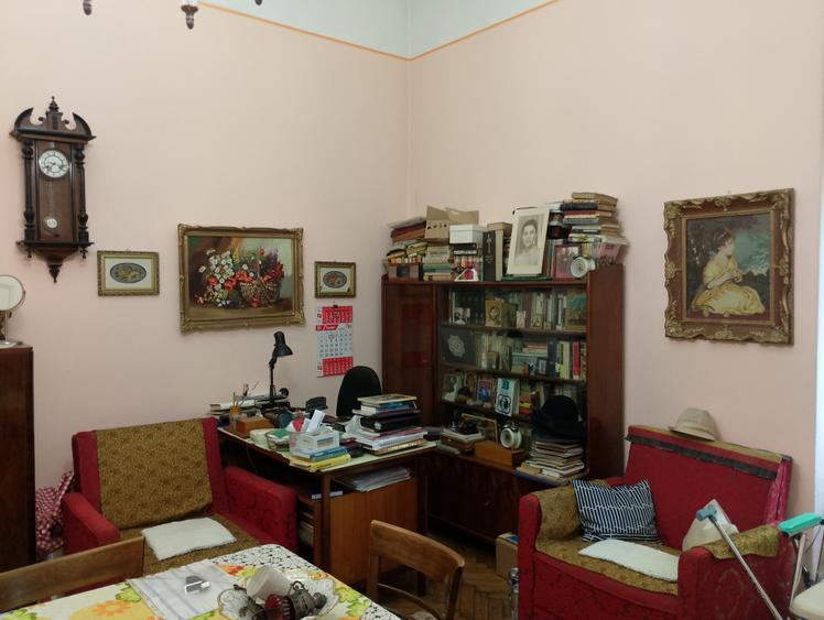 CI557 Lunei-Printul Turcesc,3 camere,Et.1,centrala - 17