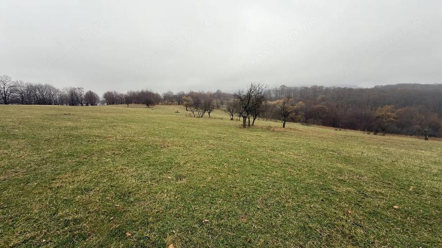 Teren deosebit 3,5HA zona Cisnadioara - 6
