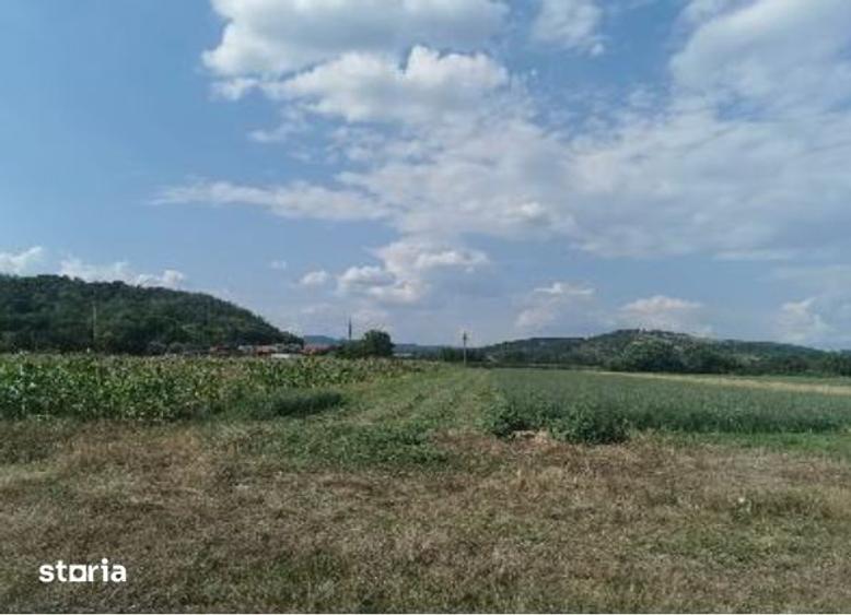 Teren de 2356 mp, în Central