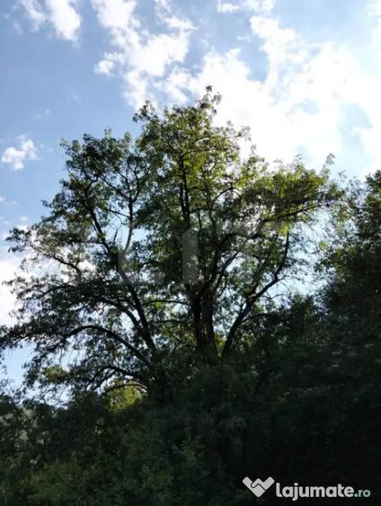 Teren în Poiana Ampoiului