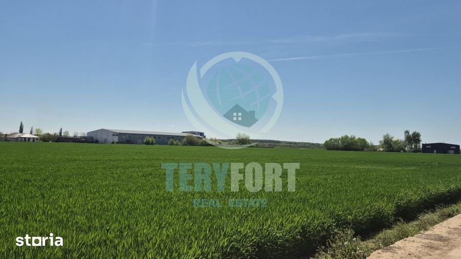 Teren de 3750 mp, în Găneasa