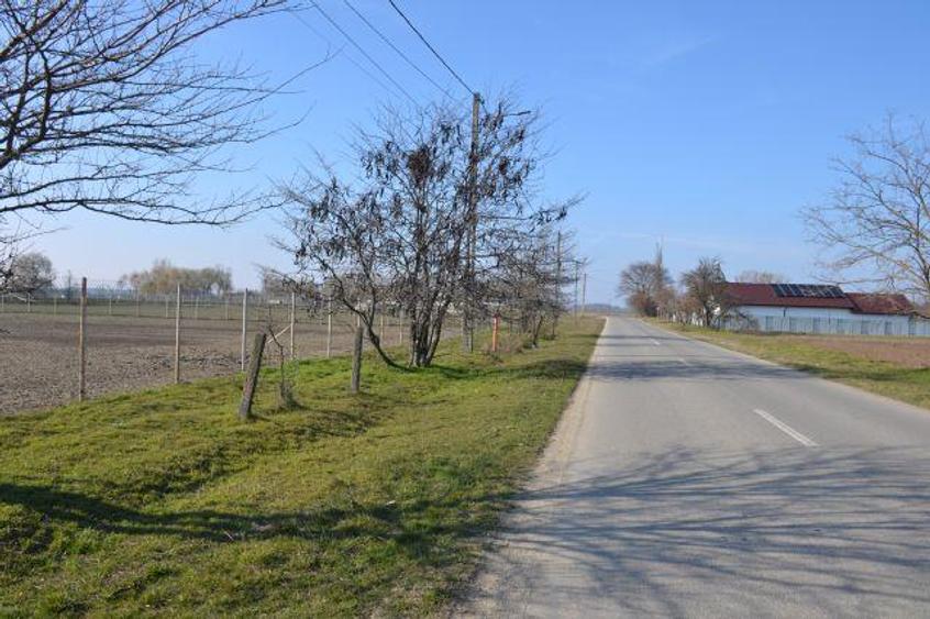 Teren intravilan de 5600 mp, în Mircea Vodă
