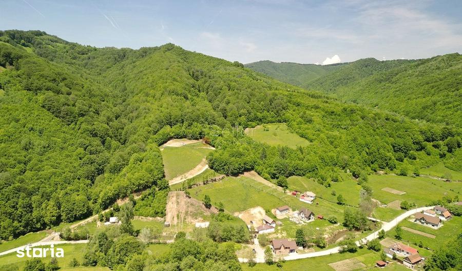 Teren de 16000 mp, în Holbav