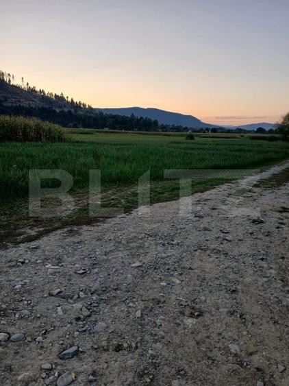 Teren Construcții intravilan de 2818 mp, în Capu Câmpului