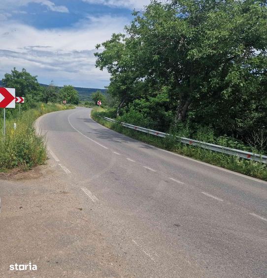 Teren de 5981 mp, în Hărău