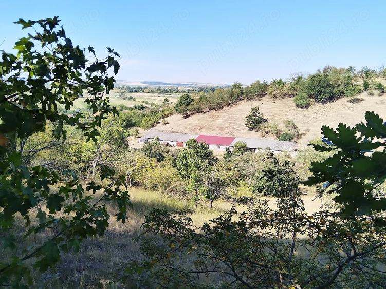 Spațiu comercial, de 5,000 mp, în Central