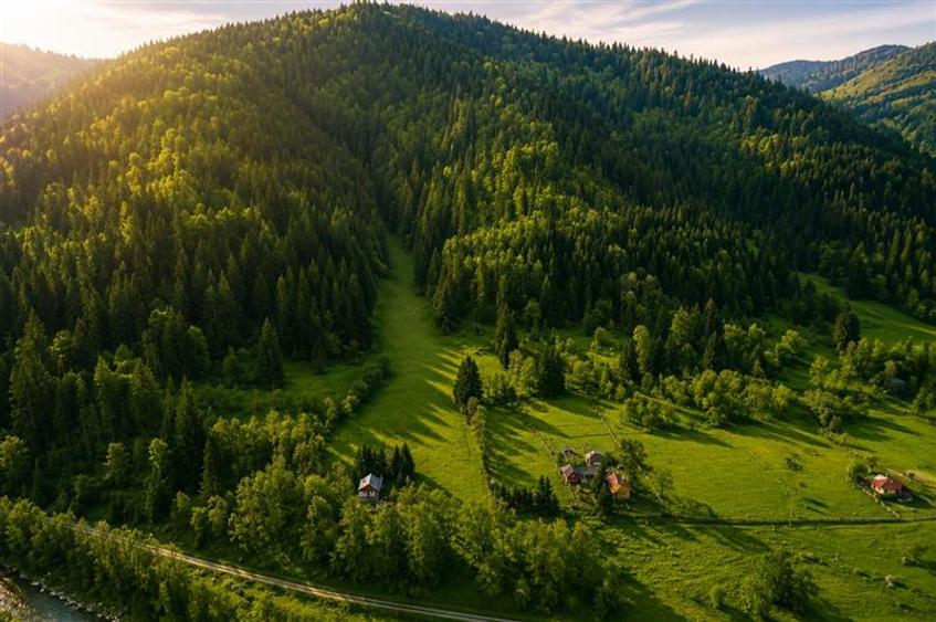 Teren Construcții intravilan de 7800 mp, în Lunca Bradului