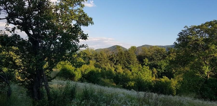 Teren de 4000 mp, în Central