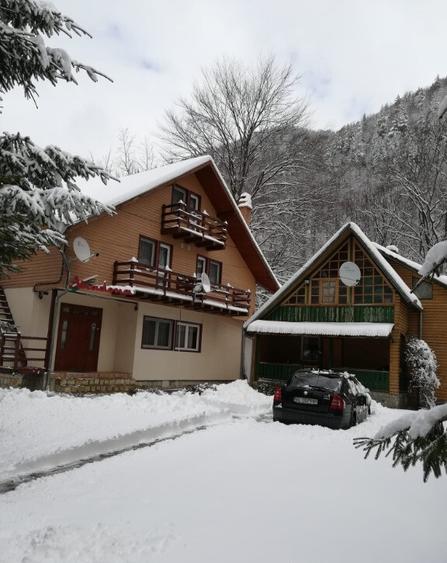 Spațiu comercial, de 450 mp, în Lepșa