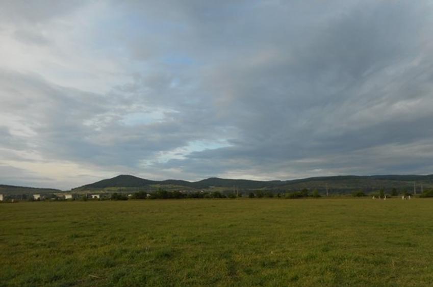 Teren agricol extravilan de 5800 mp, în Nord