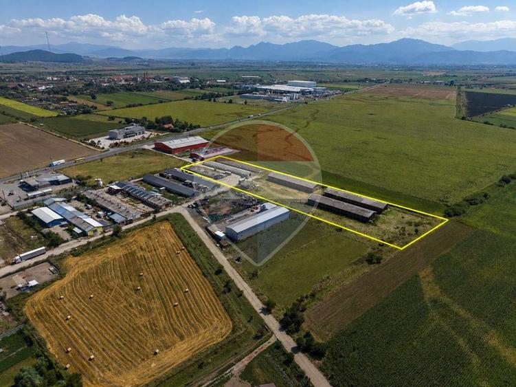 Teren Construcții intravilan de 17500 mp, în Hălchiu