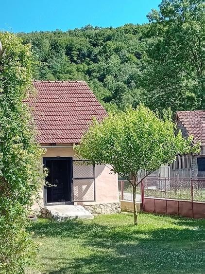 Casă cu 3 camere cu Teren 700 Mp în Rișculița
