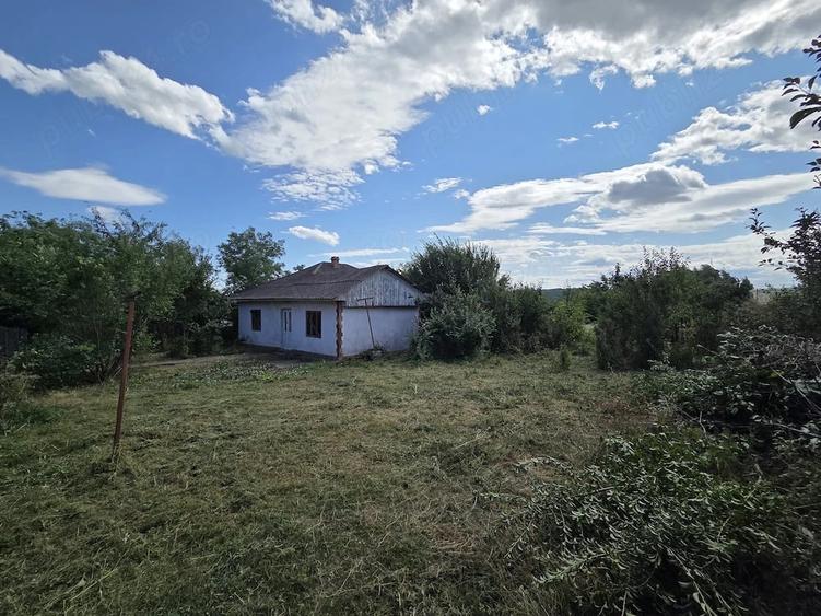 De vanzare (persoana fizica) Teren intravilan 1.335 mp cu casa, comuna Erbiceni, jude?ul Ia?i - 4
