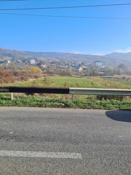 Teren de 4000 mp, în Buleta