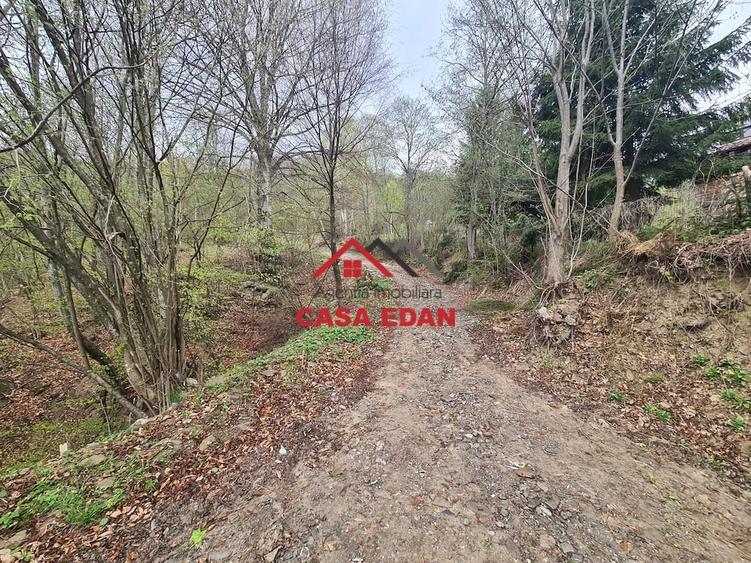 Teren de 1000 mp, în Teșila