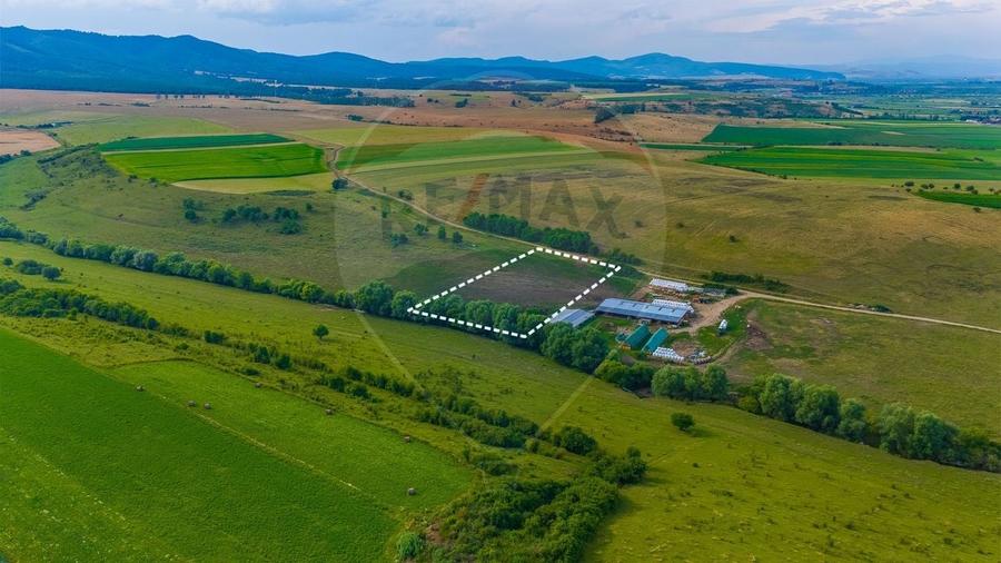 Teren agricol extravilan de 10800 mp, în Rotbav