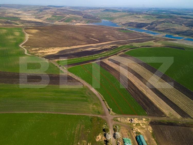Teren Construcții extravilan de 8000 mp, în Copăceni