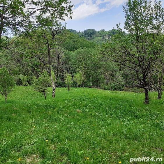 Teren de 5150 mp, în Șotrile