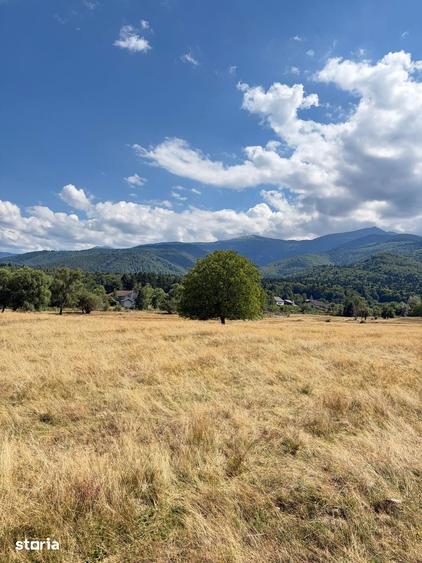 TEREN INTRAVILAN 17.781 MP SAMBATA DE SUS Vedere spre Mun?ii Fagara? - 2