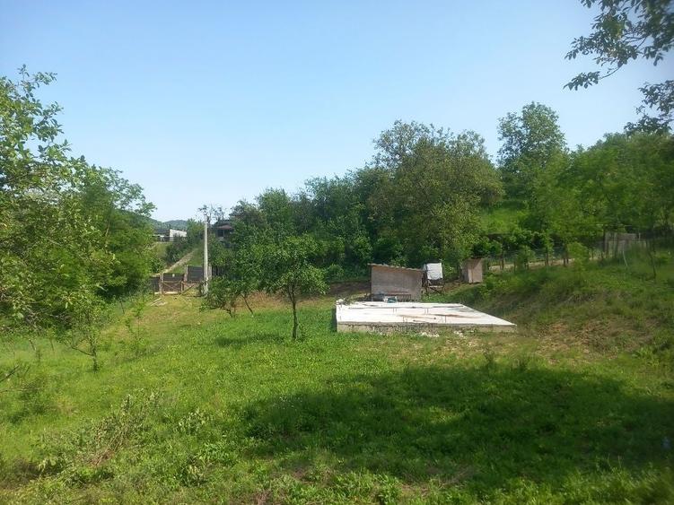 Spațiu comercial, în Provița de Jos