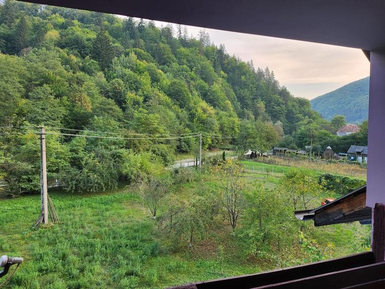 Casă cu 4 camere cu Teren 5000 Mp în Pângărăcior