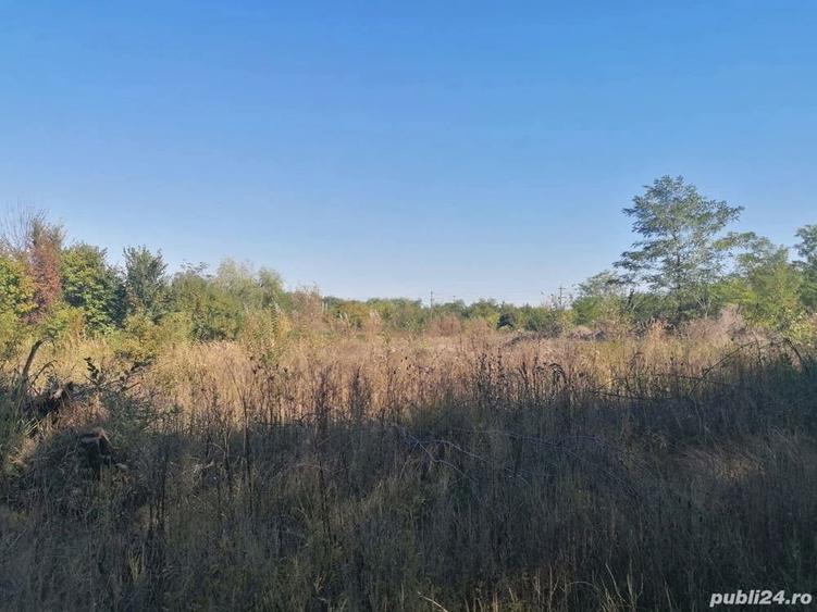Teren de 4350 mp, în Bălteni