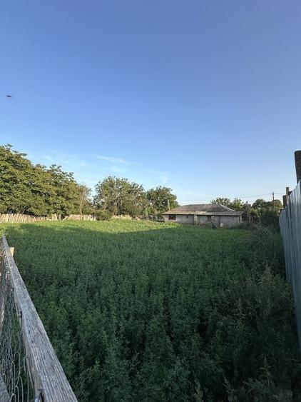 Teren de 700 mp, în Lipia