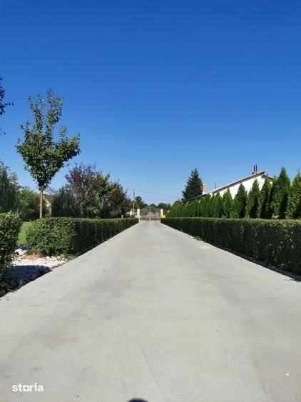 Casă cu 4 camere cu Teren 7000 Mp în Ulmi
