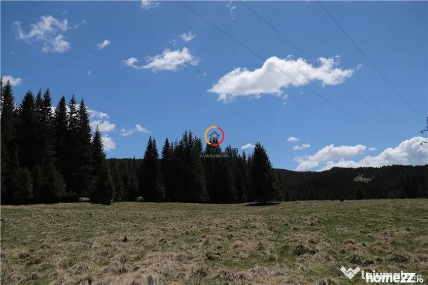 Teren de 50000 mp, în Moroeni