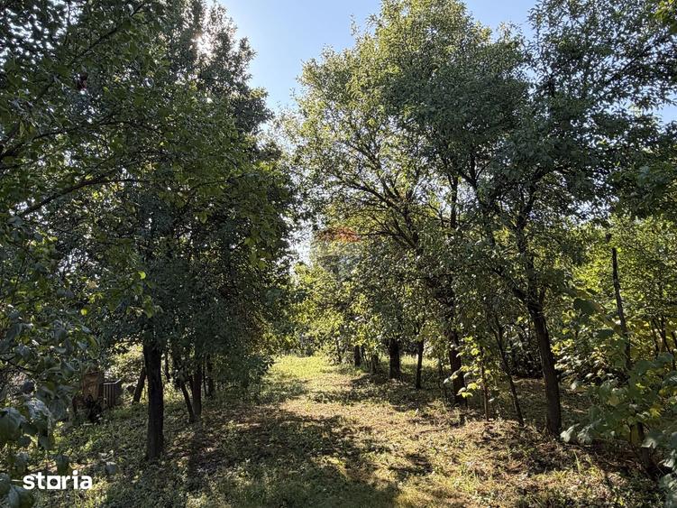 Casă cu 2 camere cu Teren 1500 Mp în Bârgău