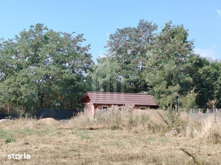 TEREN INTRAVILAN DE VANZARE VALEA AVRIGULUI | 1.913 MP - 12