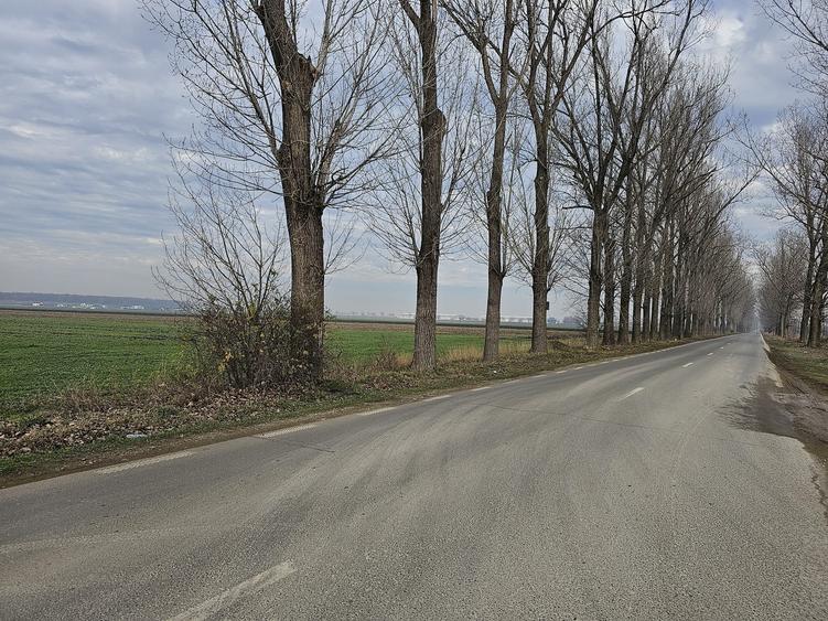 Teren Construcții de 16000 mp, în Afumați