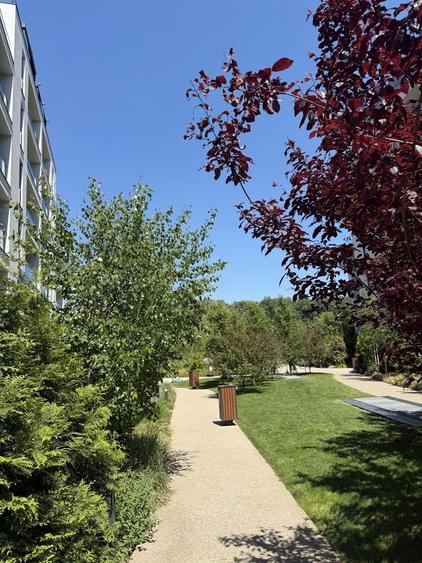 Apartament cu 3 camere decomandat în Băneasa