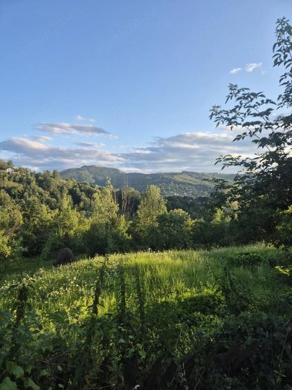 Teren de 2700 mp, în Valea Doftanei