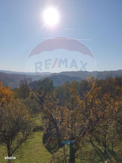 Spațiu comercial, în Bertea