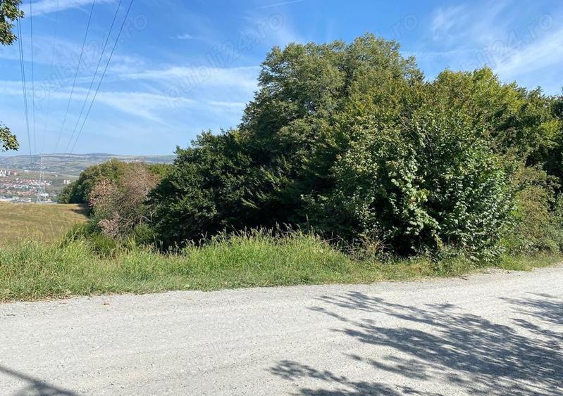 Teren Construcții intravilan de 17243 mp, în Grigorescu