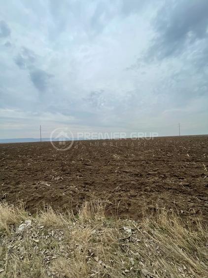 Teren agricol extravilan de 20000 mp, în Miroslava